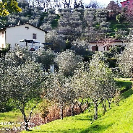 Apartamento Tenuta Degli Obizzi Montecarlo Exterior foto