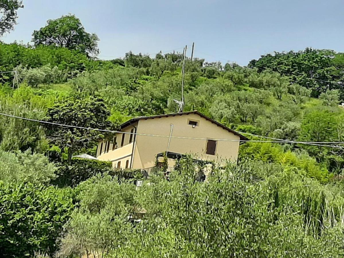 Apartamento Tenuta Degli Obizzi Montecarlo Exterior foto