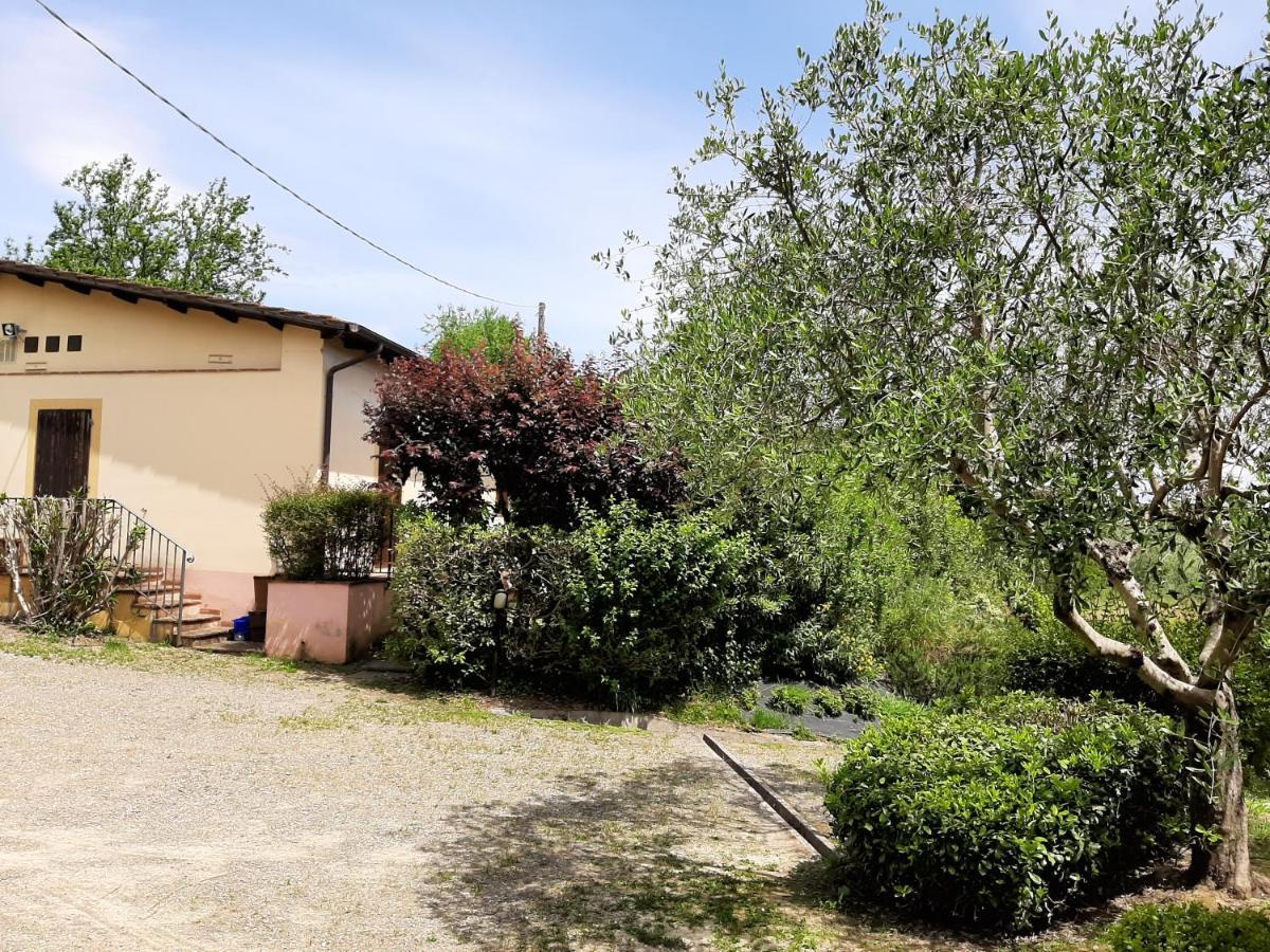 Apartamento Tenuta Degli Obizzi Montecarlo Exterior foto