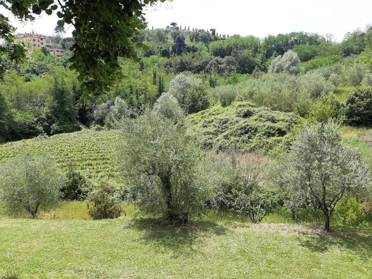 Apartamento Tenuta Degli Obizzi Montecarlo Exterior foto