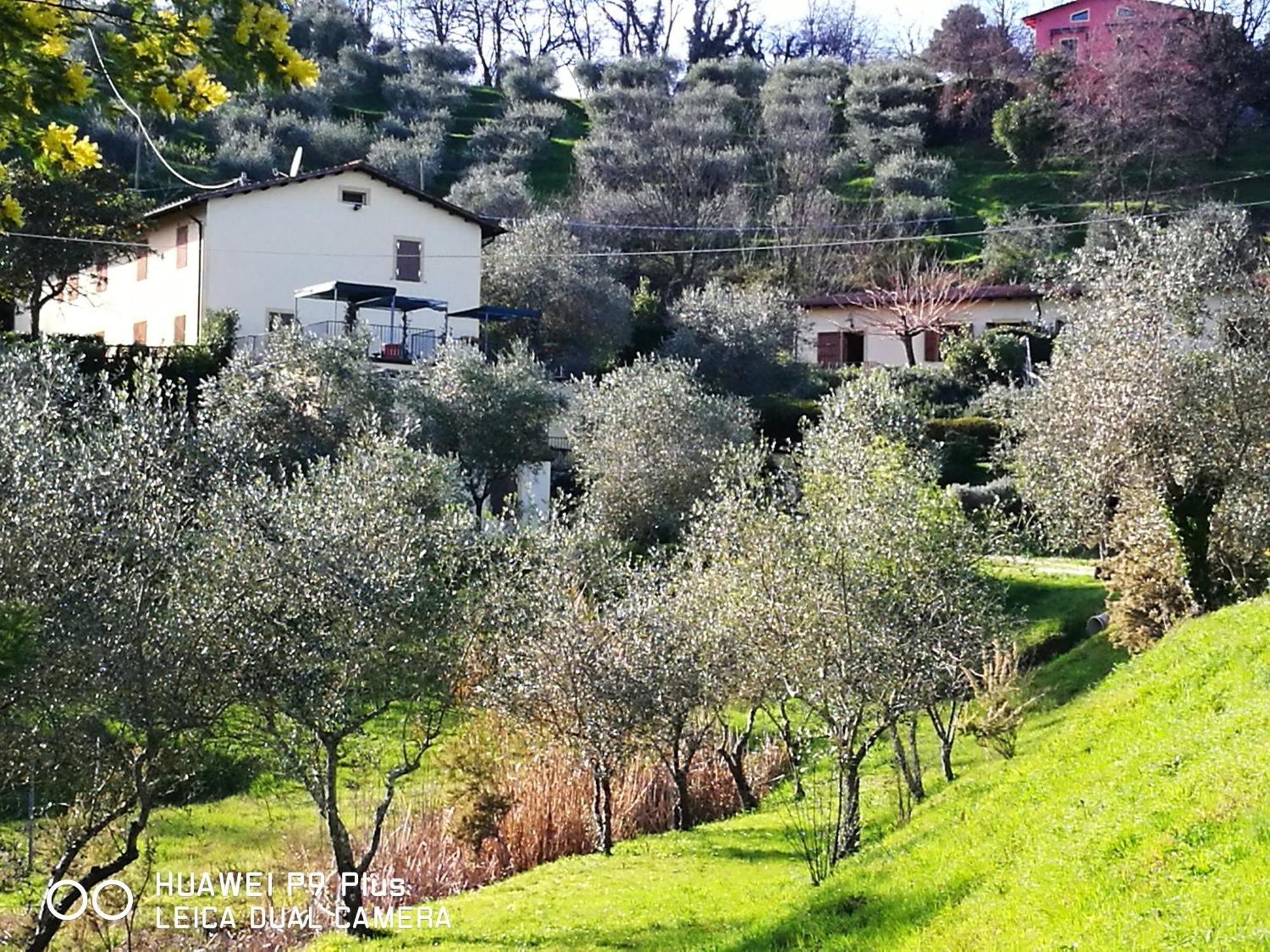 Apartamento Tenuta Degli Obizzi Montecarlo Exterior foto
